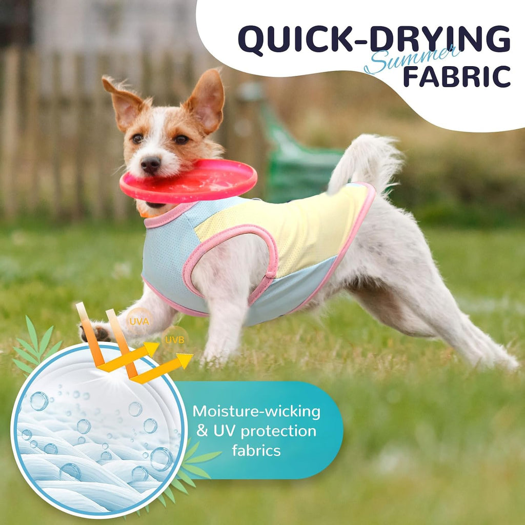Detailed view of metal D-ring on Axiijgl dog apparel