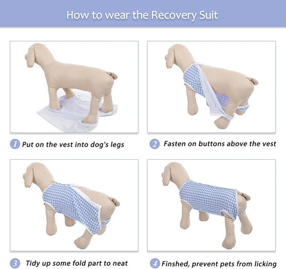 Kuoser post-operative canine bodysuit showing the inner circle pattern for male dog modifications.