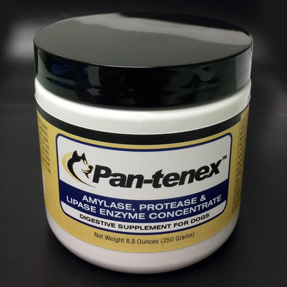 Pan-tenex 10x Digestive Enzymes for Dogs front view bottle