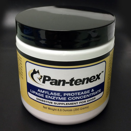 Pan-tenex 10x Digestive Enzymes for Dogs front view bottle