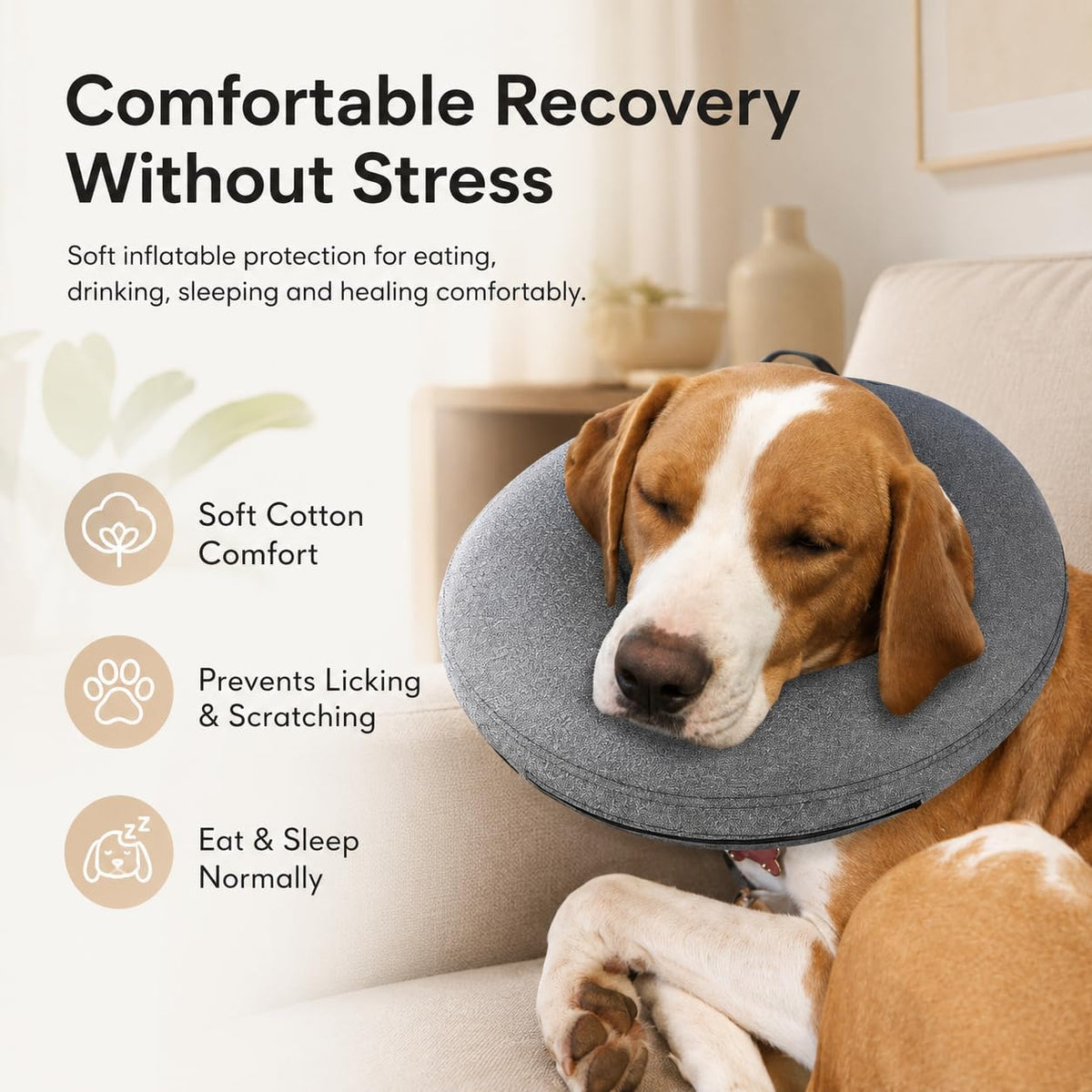 MIDOG soft donut recovery collar alternative for large dogs