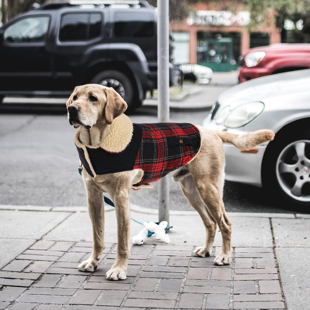 Preferhouse plaid winter garment for small breeds
