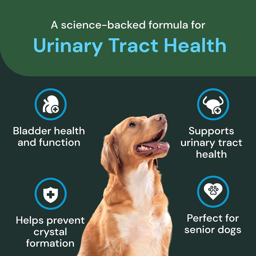 Soft chew texture of VetriScience UT Health supplement