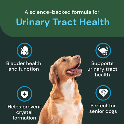 Soft chew texture of VetriScience UT Health supplement