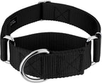 Country Brook Petz - HossFit Jr Wide Martingale Dog Collar - Training Collar with No Buckle - Service Dog Collar for All Pups - Vibrant, Colorful Collection (Royal Blue, Large) - Image 14
