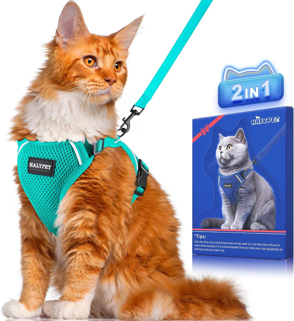 Halypet Cat Harness and Leash Set [ MAX Safety Third Generation ] Escape Proof Soft Adjustable Cat Leash Breathable Comfortable Vest Easy to Wear Kitten Harness for Outdoor Walking Black - Image 12