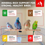 Morning Bird Pigeon Grit resealable bag close up