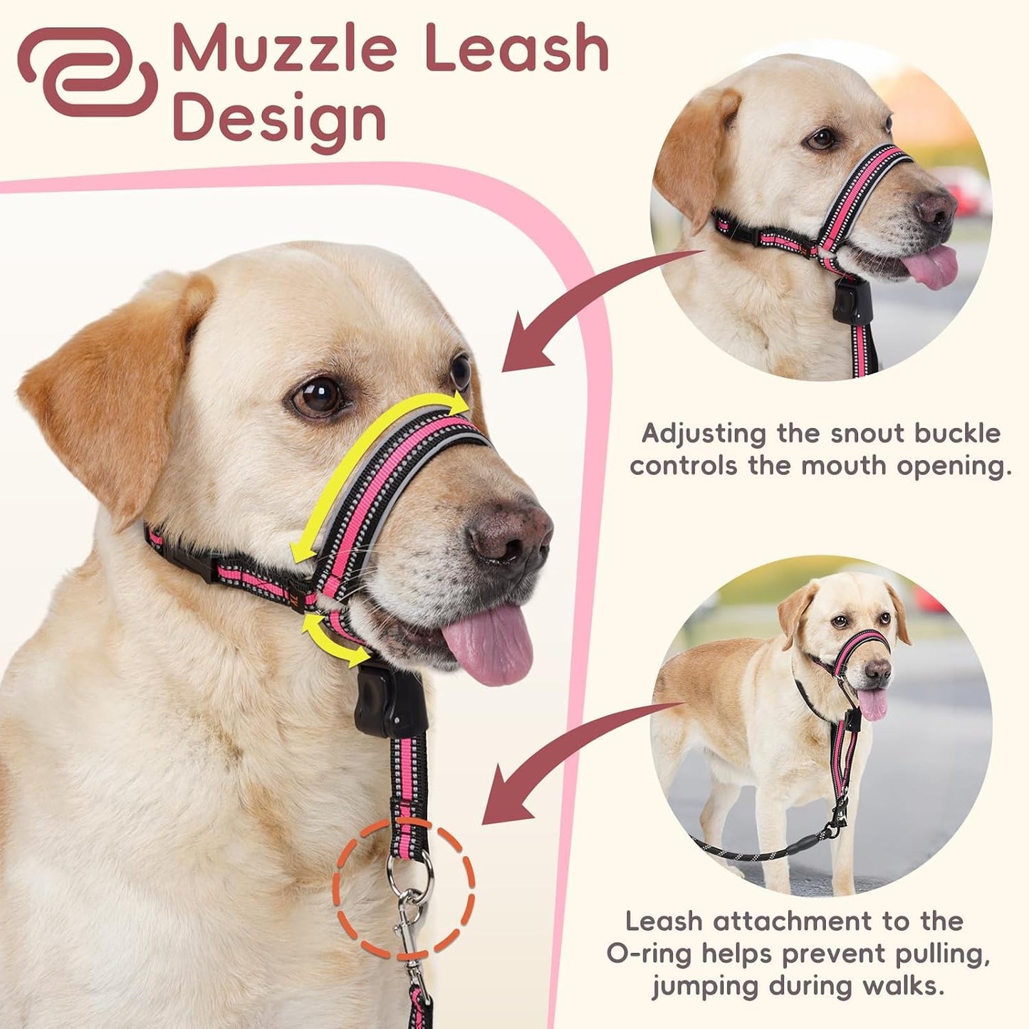 Adjustable nose leash for large dogs side perspective close up
