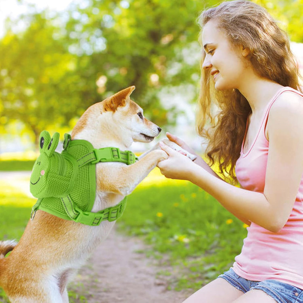 Imported pet walking gear with secure quick release buckles.