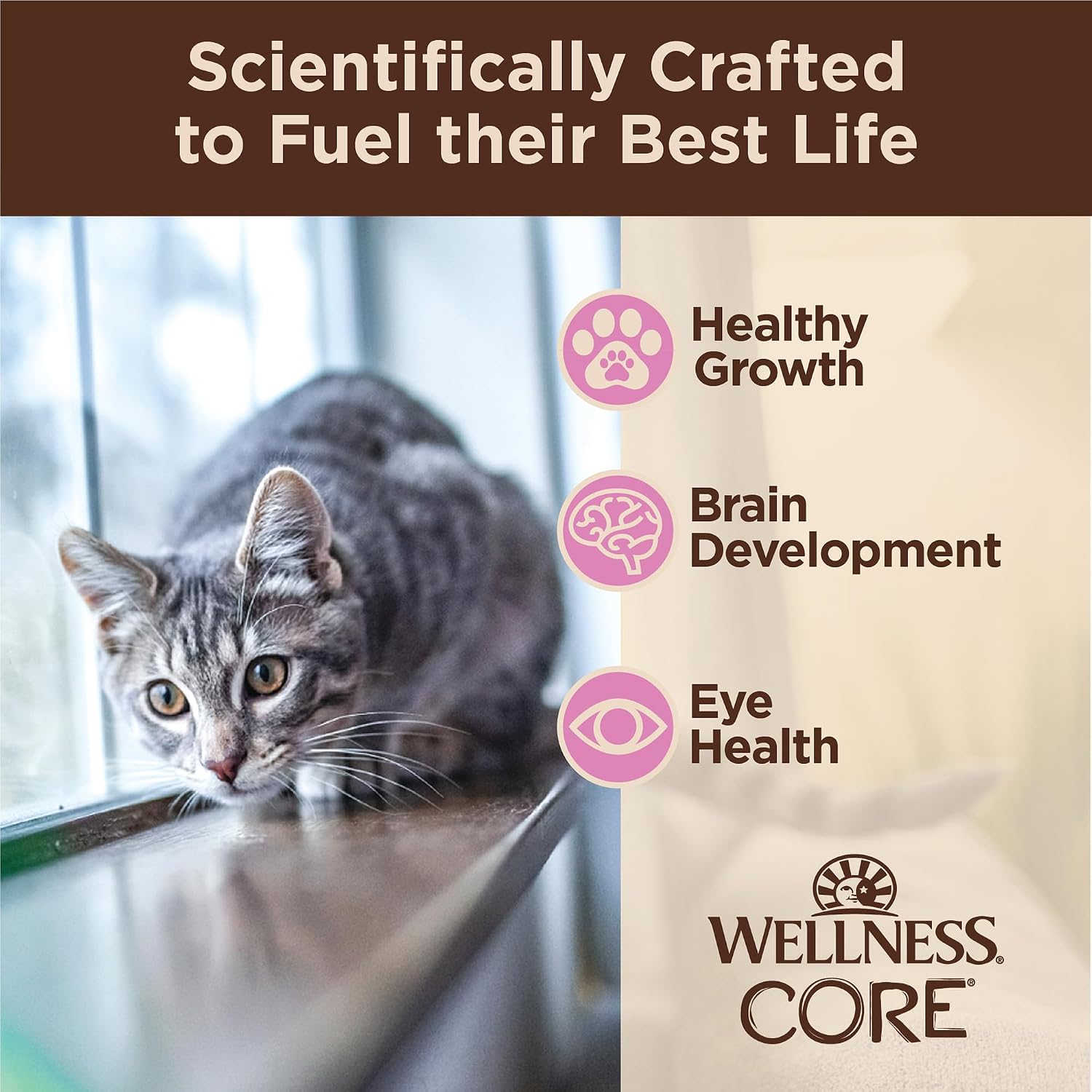 Nutritional facts and ingredients label on Wellness CORE kitten food pouch