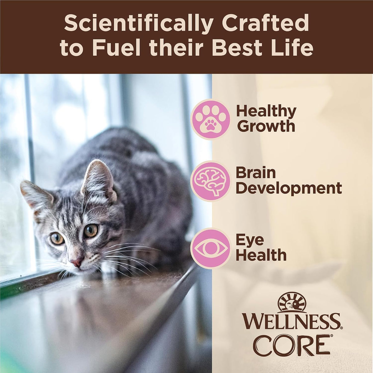 Nutritional facts and ingredients label on Wellness CORE kitten food pouch