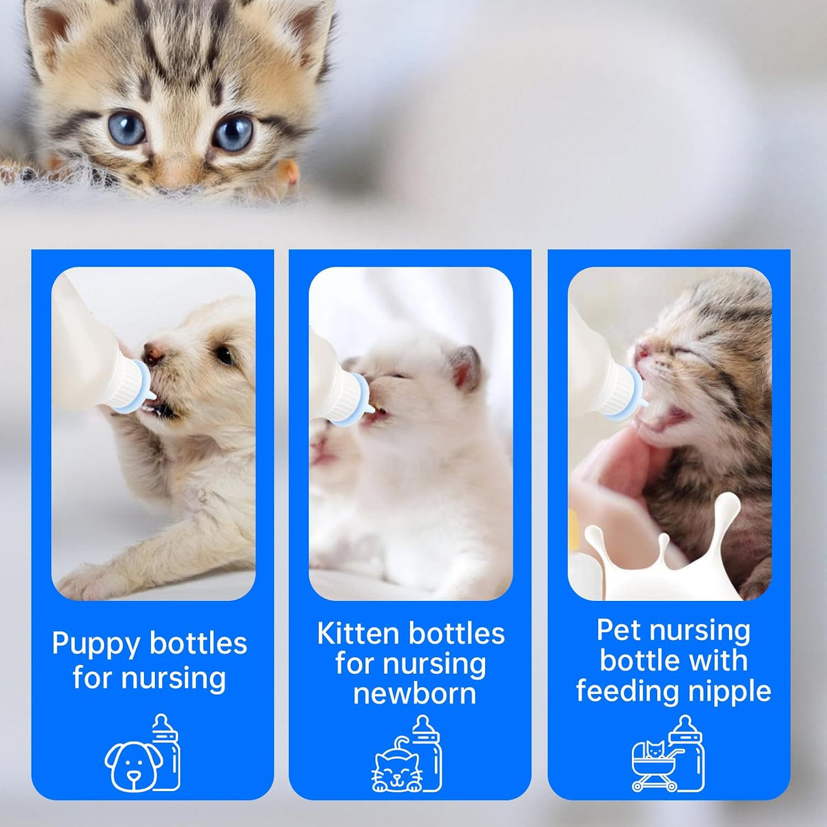 BPA free food grade silicone nipples for newborn small animal care