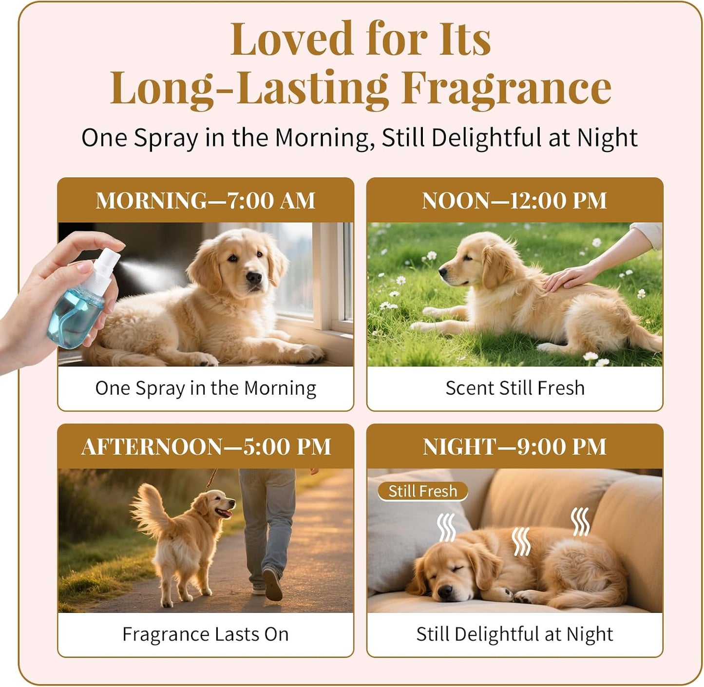 Long lasting plant based puppy and kitten fragrance spray bottles lined up