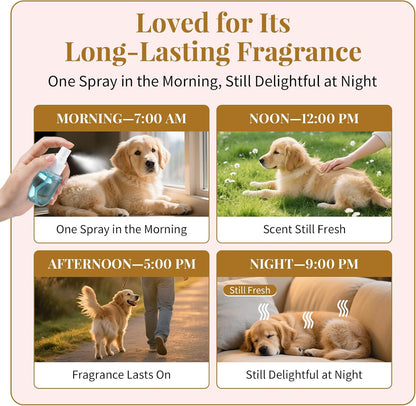 Long lasting plant based puppy and kitten fragrance spray bottles lined up