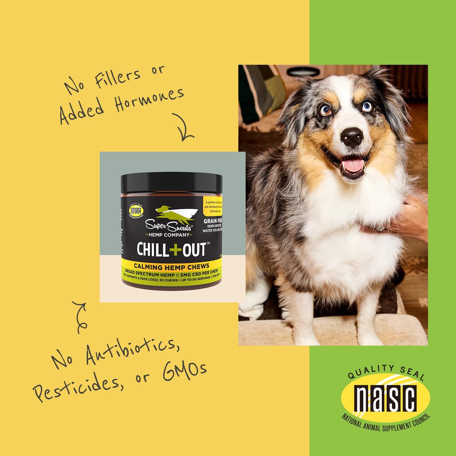 Super Snouts calming chews packaging in a home setting