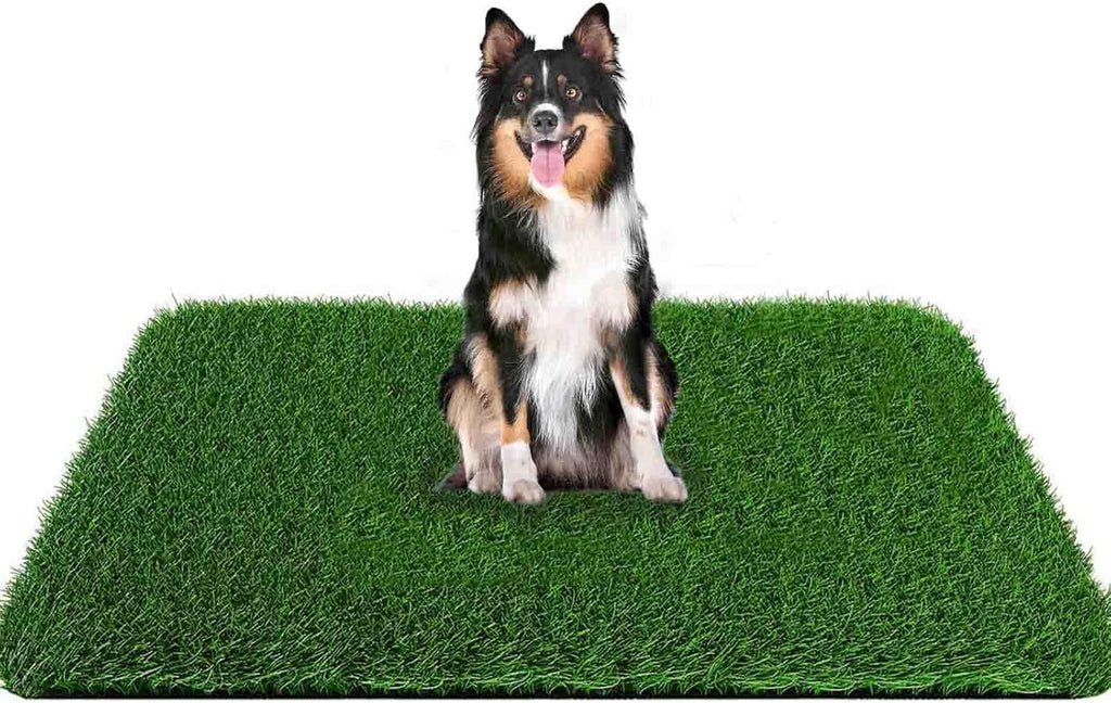 Grass Pad for Dogs 39.3 x 31.5 Inches Fast-Drain Artificial Grass for Pets Potty Training, Easy to Clean Fake Grass for Dog Indoor Outdoor Use(1 Pack) - Image 10