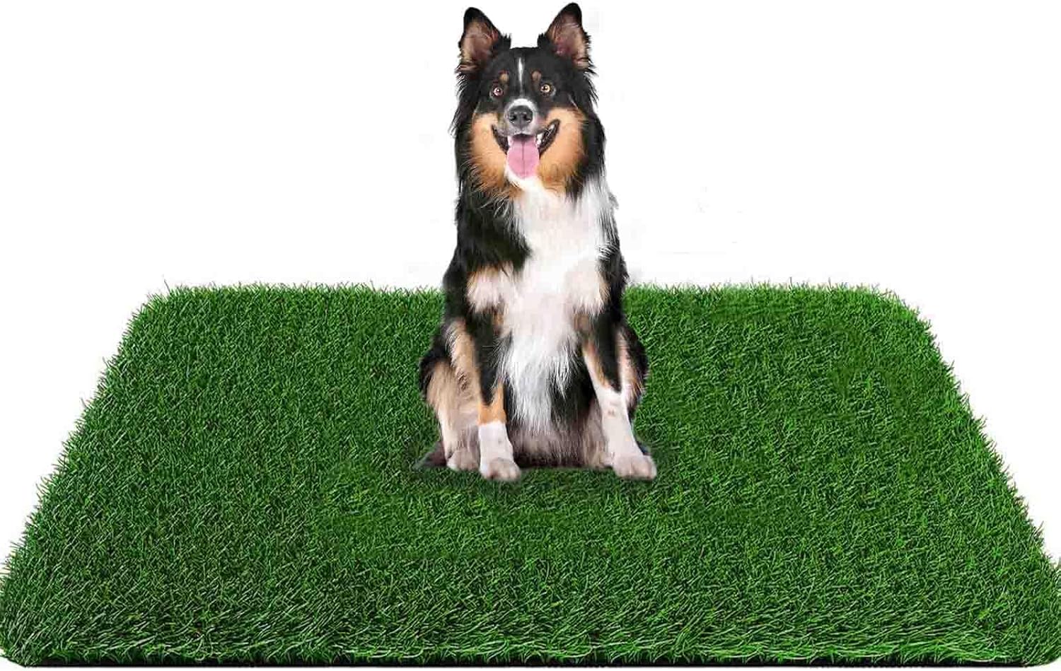 Grass Pad for Dogs 39.3 x 31.5 Inches Fast-Drain Artificial Grass for Pets Potty Training, Easy to Clean Fake Grass for Dog Indoor Outdoor Use(1 Pack) - Image 10