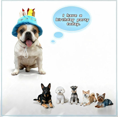 Adjustable strap details on RyanDesign pet birthday cap