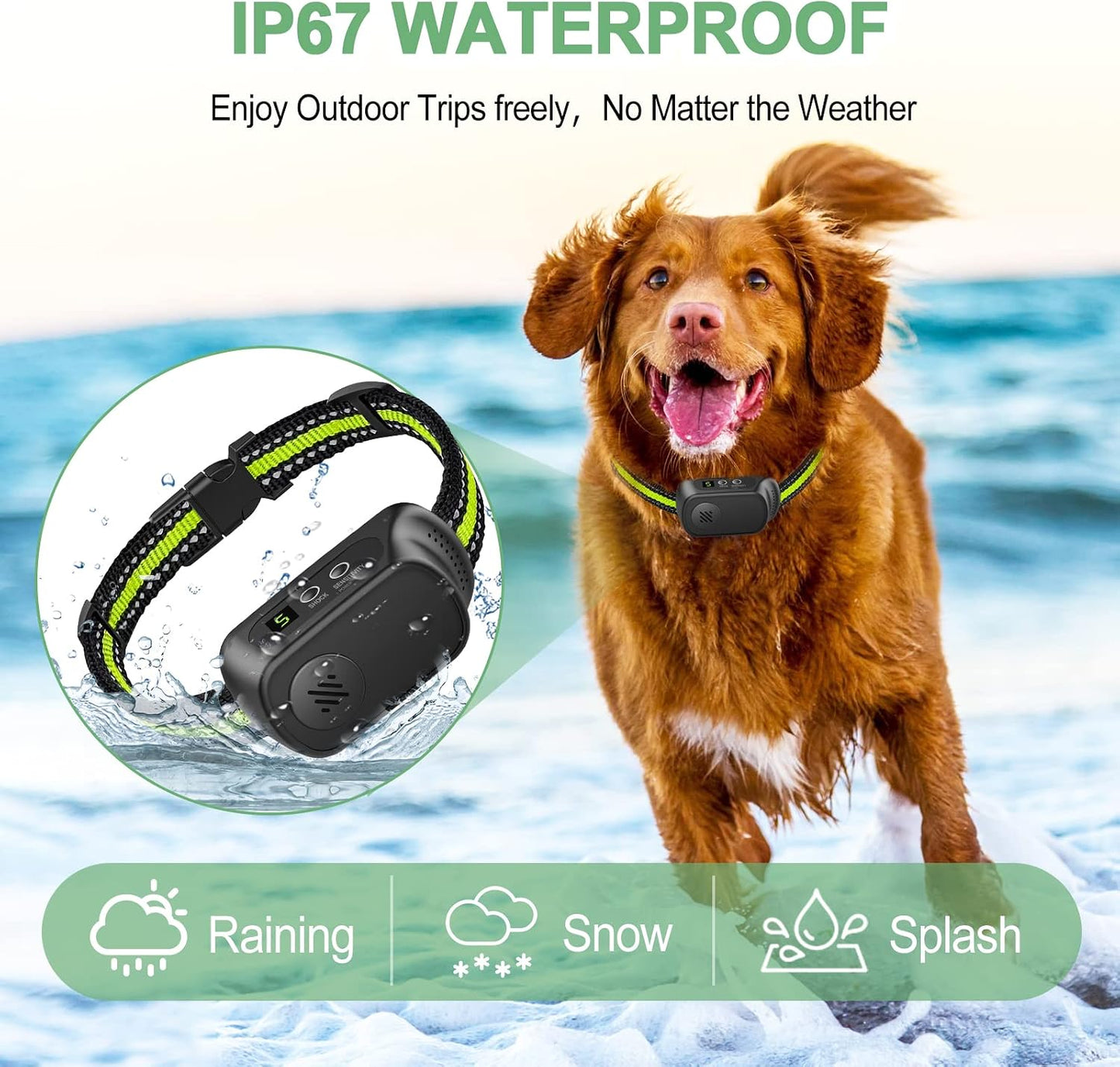 Rechargeable bark collar with USB charging cable