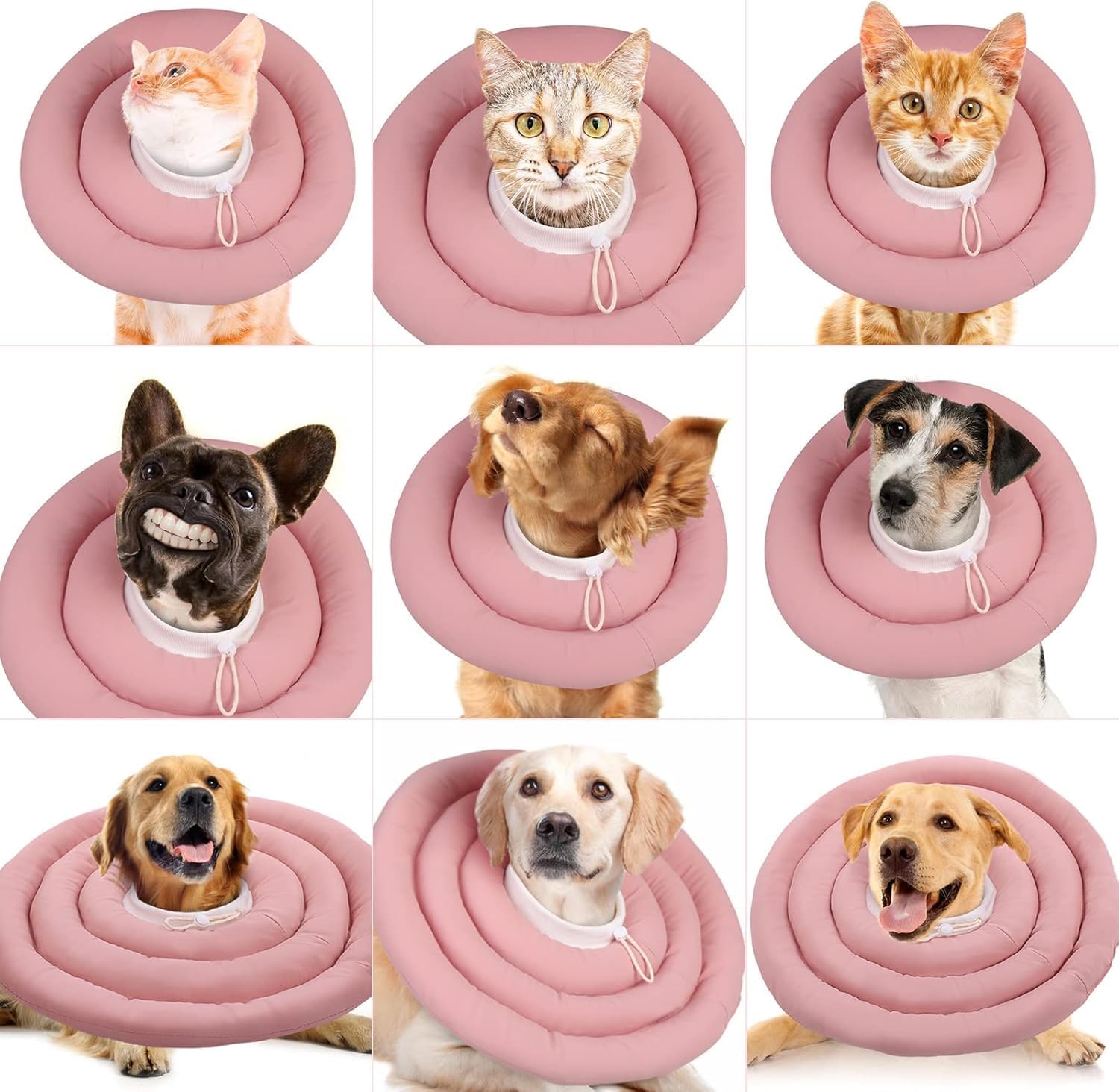 IDOMIK imported soft protective pet collar packaging display