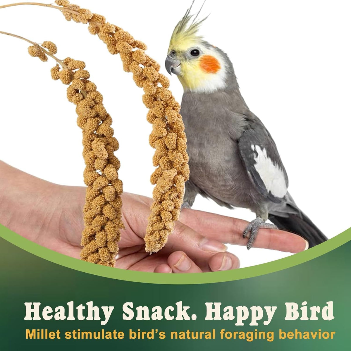 Whole food non GMO bird treat package details