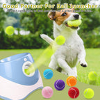Magicorange dog balls compatible with ball launchers