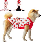 V.PET.B.R dog spay neuter recovery bodysuit packaging highlighting authentic premium quality fabric