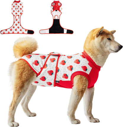 V.PET.B.R dog spay neuter recovery bodysuit packaging highlighting authentic premium quality fabric