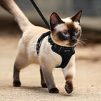 MHHYQF secure escape proof cat vest adjusted tightly on a small feline model.