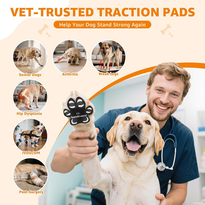 Close up of breathable dog paw grip stickers