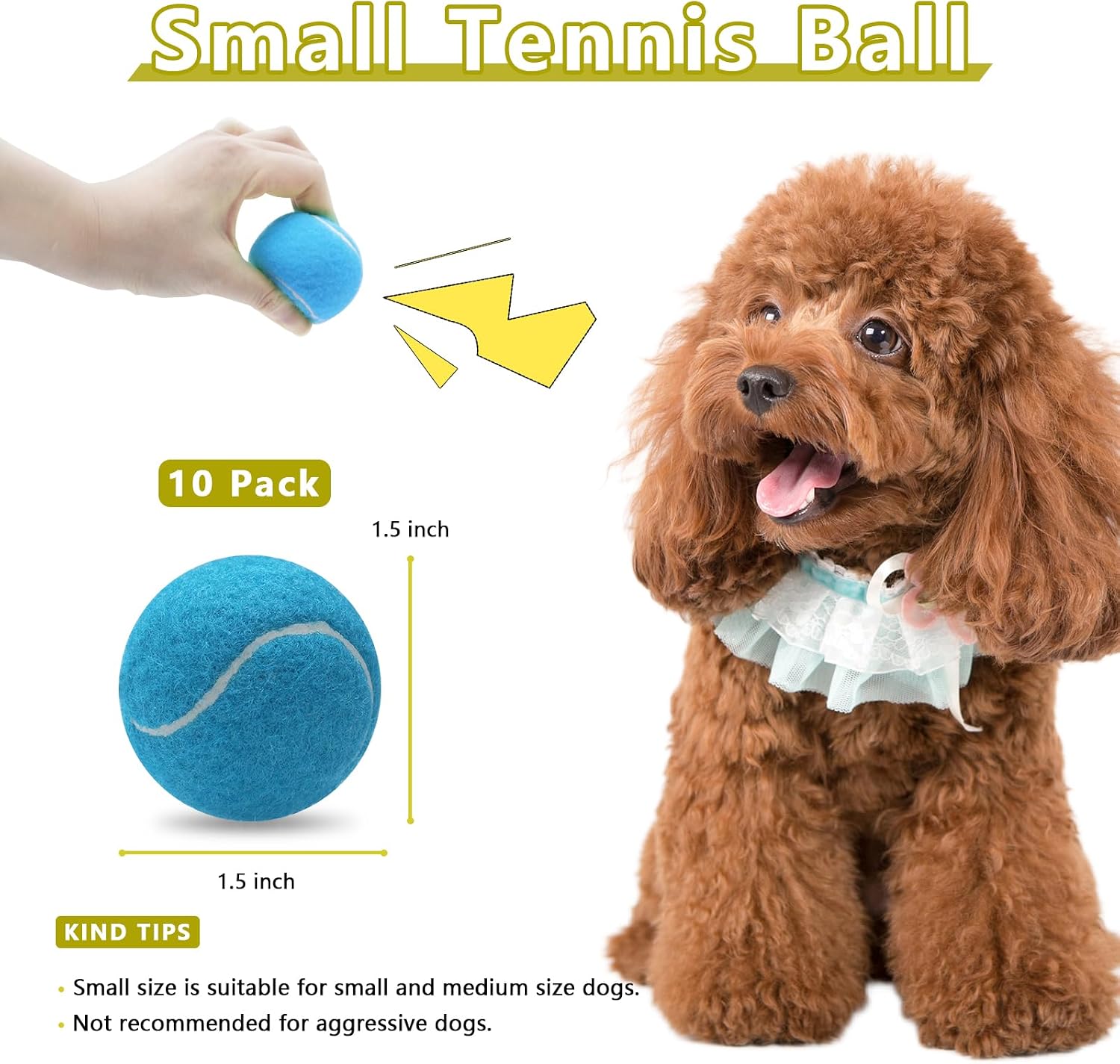 Close up of colorful 1.5 inch dog tennis balls