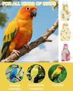 3Pack Bird Diaper, Reusable Parrot Nappy & 50 Absorbent Liners Bird Diapers - Image 6