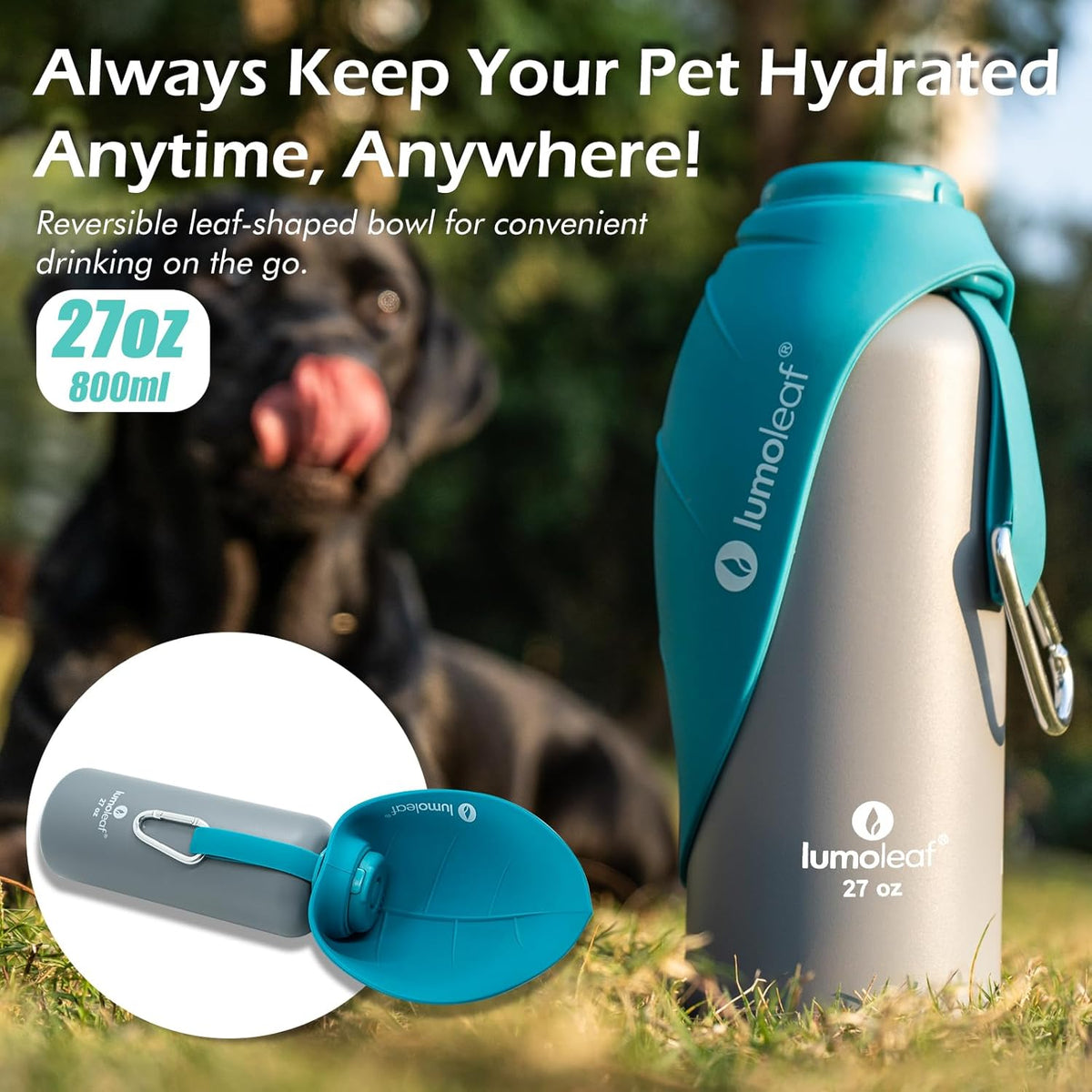 Compact twenty seven ounce stainless steel pet travel bottle on a hiking trail.