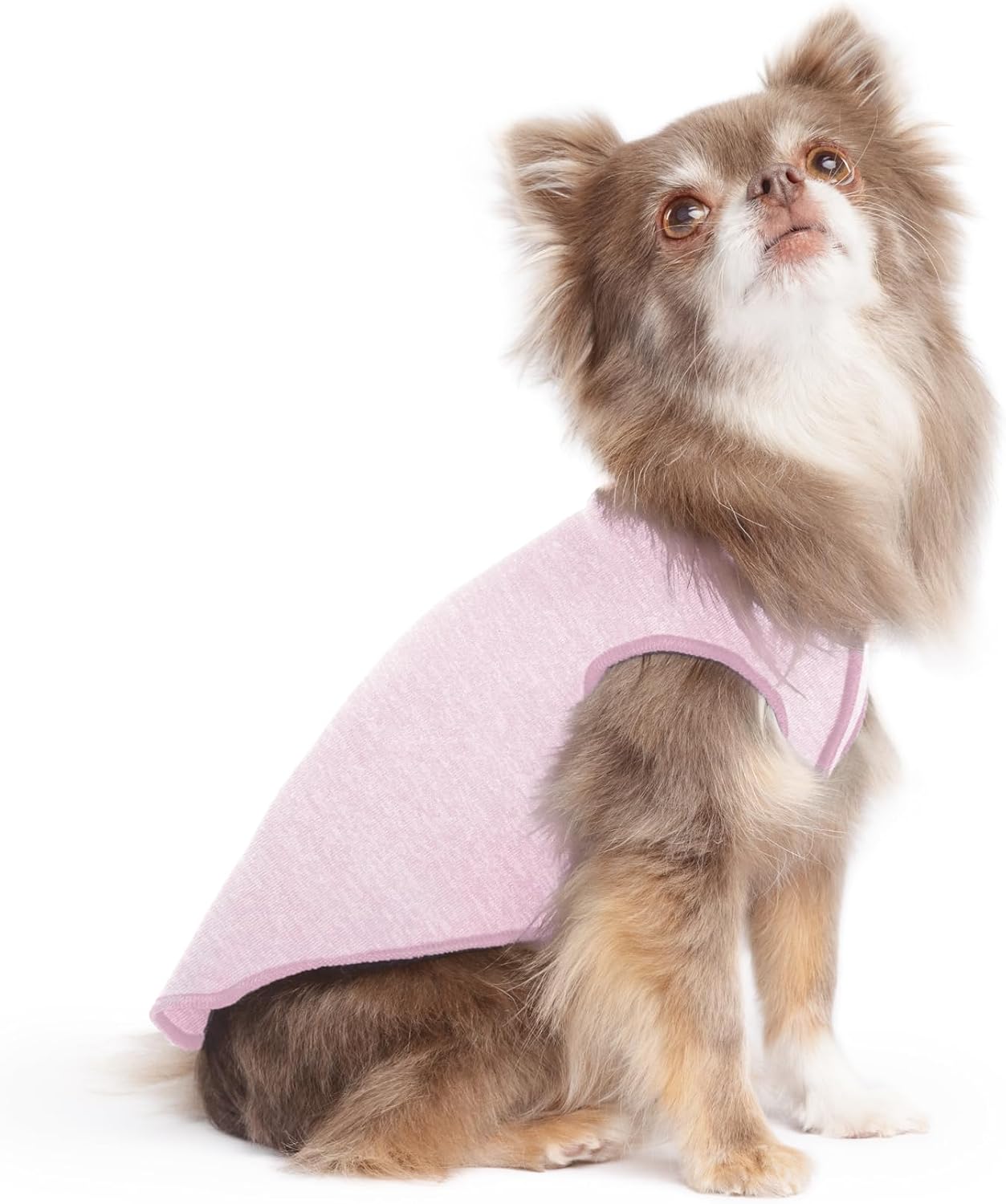 Goldpaw Dog Sun Shirt with UV Protection - Lightweight, Cooling Sun Protection Clothing for Dogs - Reduce Heat Absorption - Pet Clothes Made in the USA - Machine Washable - Size 16 - Pebble Grey - Image 14