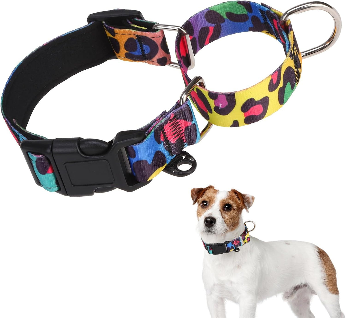 KOOLTAIL Martingale Collar for Dogs for Small Medium Large Dogs, Soft Padded Nylon No Pull Dog Collar with Buckle, Adjustable No Slip Heavy Duty Durable Puppy Training Collar for Boys Girls, Blue M - Image 10