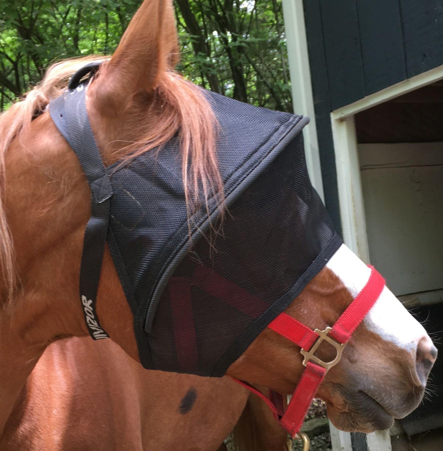 Solar Vizor EquiVizor Horse Fly Mask front view for eye protection