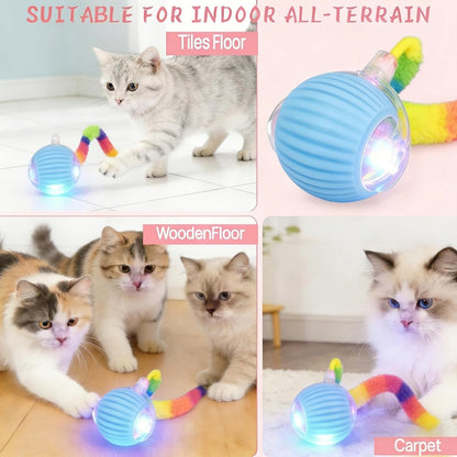 Three modes LED light cat exercise ball display