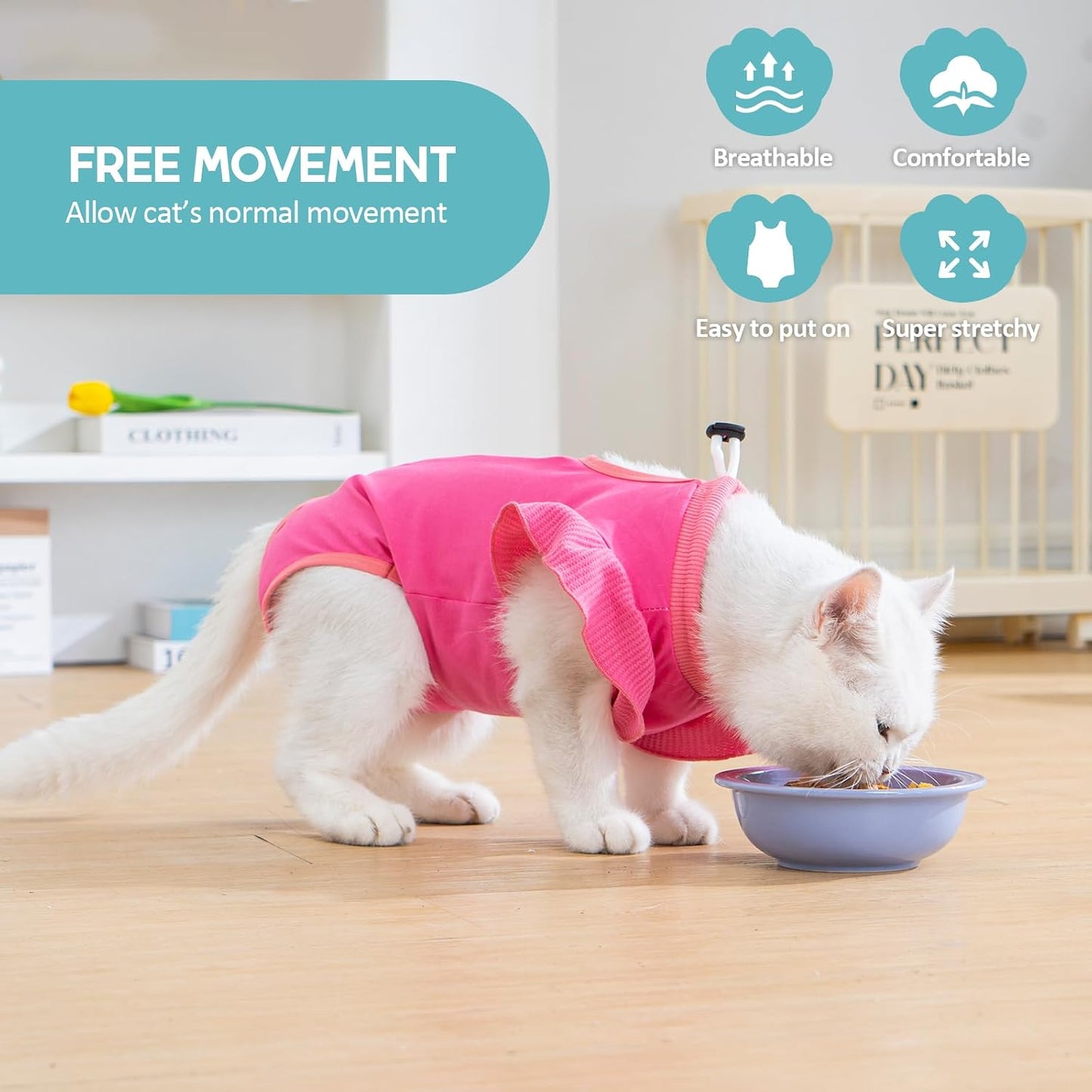 Avont Cat Spay Suit side view showing cute ruffle sleeves on a female kitten