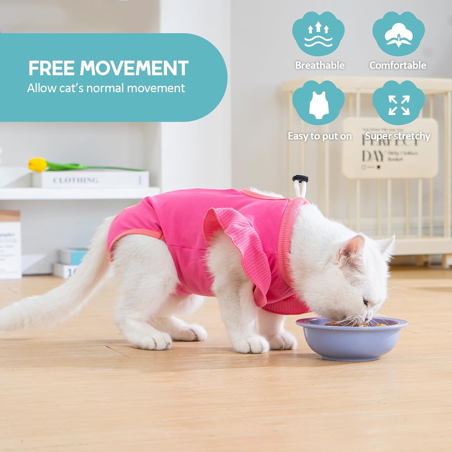 Avont Cat Spay Suit side view showing cute ruffle sleeves on a female kitten