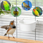Exclaith spill proof bird seed cup accessory
