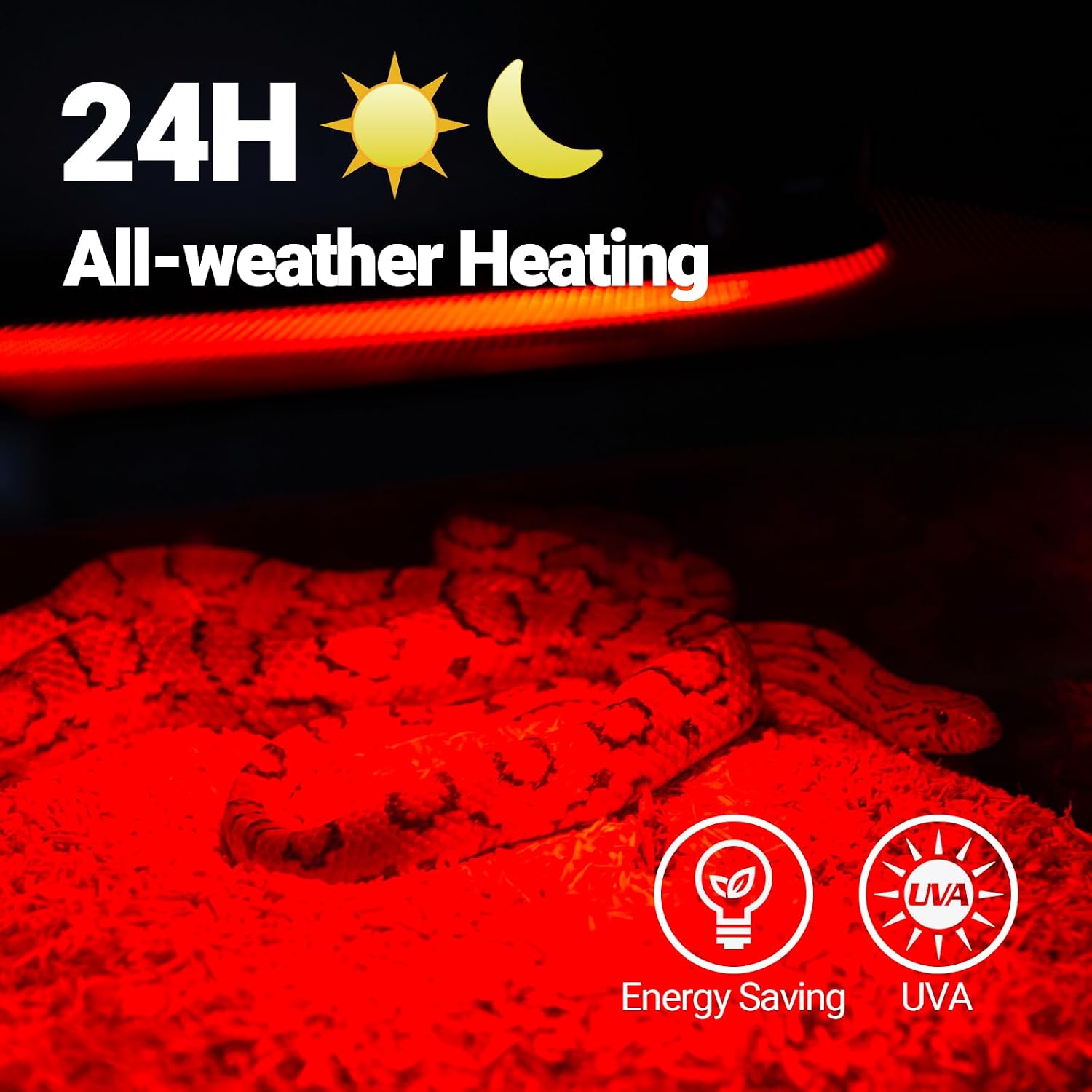 Infrared reptile heat lamp providing nocturnal warmth for a leopard gecko