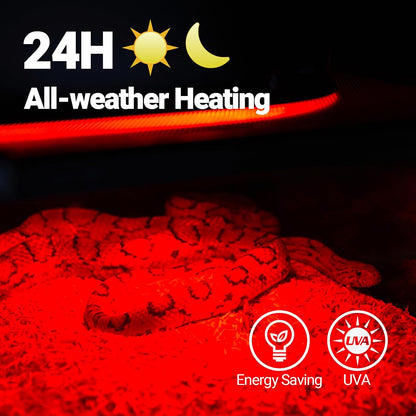 Infrared reptile heat lamp providing nocturnal warmth for a leopard gecko