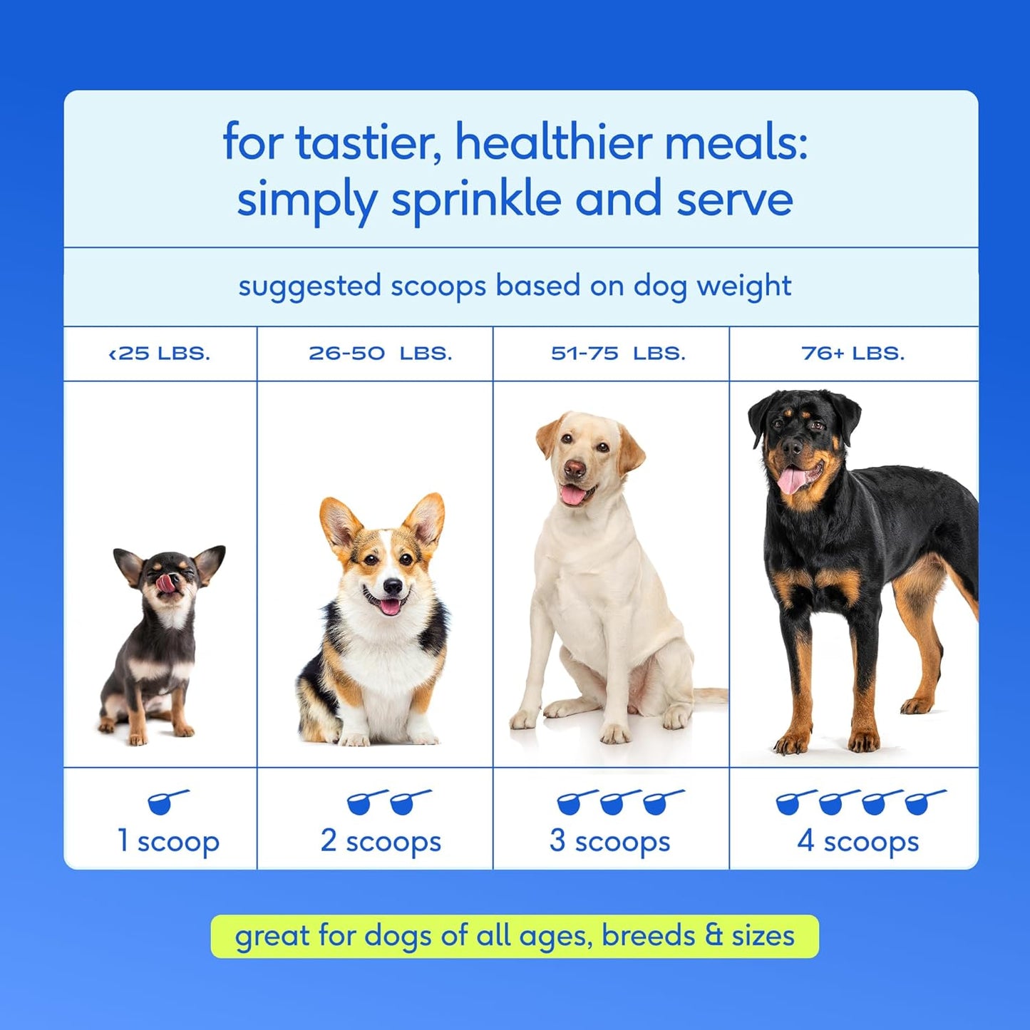 Native Pet The Daily Dog Vitamins & Supplements - 11-in-1 Multivitamin Powder for Dogs - Supports Whole Body Health, Digestion, Mobility & Immunity with Collagen, Glucosamine & Probiotics - 60 Scoops - Image 9