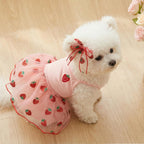 BAOBICUTE pink princess puppy apparel detailed embroidery closeup