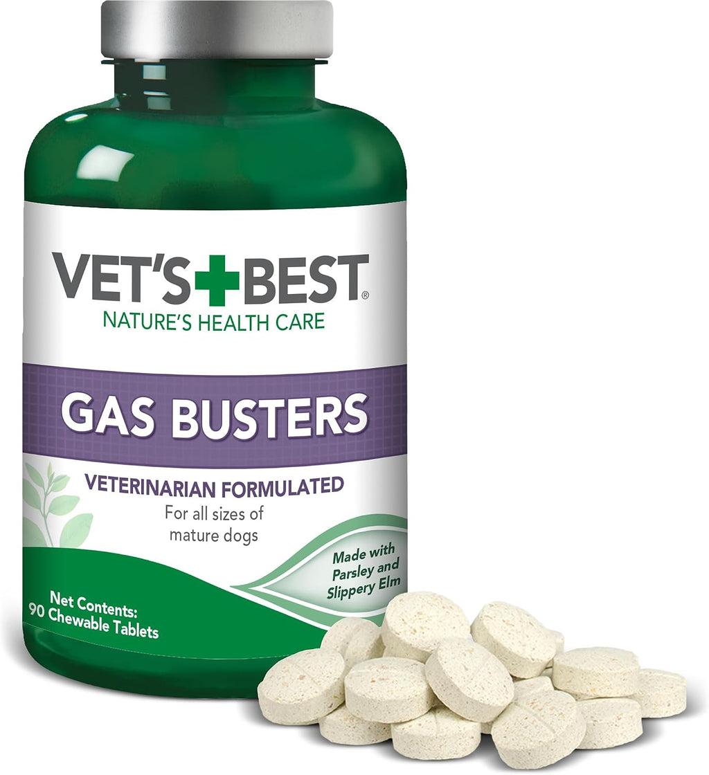 Educational graphic showing dog digestive health benefits