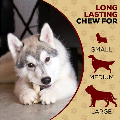 Real Hide sixteen count package of safe and digestible dog chew treats for dental hygiene.