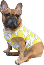 iChoue French Bulldog 100% Breathable Cotton Striped T Shirts Halloween Vest Clothes for Small Dogs Tank Tops Puppy Frenchie Pug English Boston Terrier Pitbull Pink White Stripes - Medium - Image 12