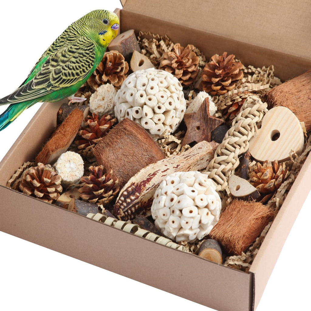 Kyouki parrot foraging box packaging and contents