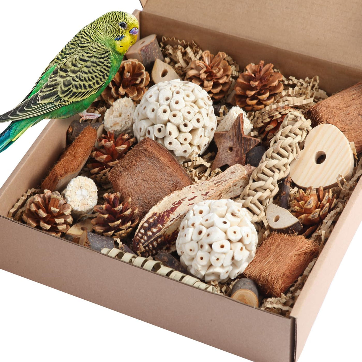 Kyouki parrot foraging box packaging and contents