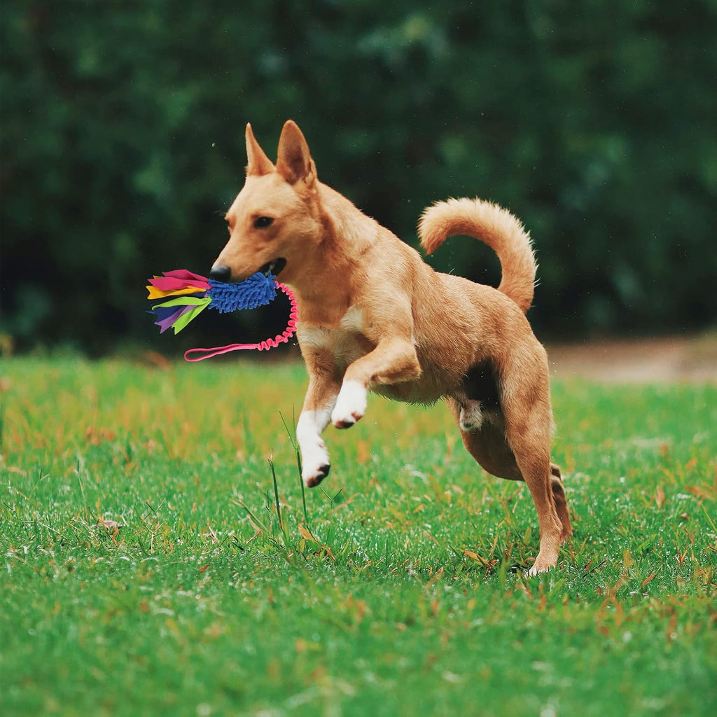 Close-up of the durable climbing grade elastic webbing on the Wodoca dog training toy